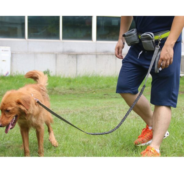 Adjustable Hands Free Dog Leash - Image 5