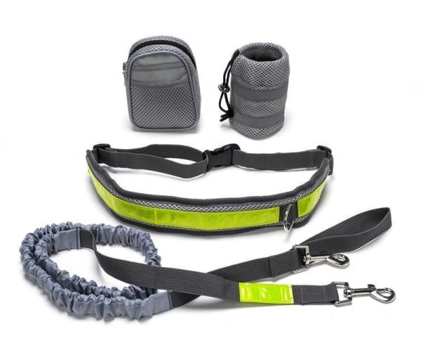 Adjustable Hands Free Dog Leash - Image 3